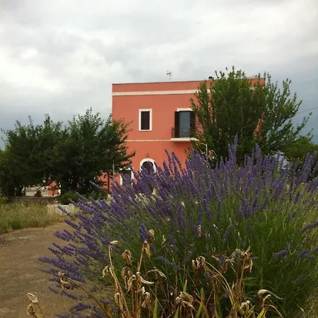 Coccio Pesto *