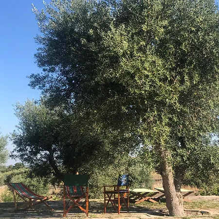 Coccio Pesto
